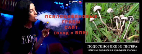 альфа пвп Вяземский